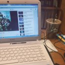 죠탕죠탕 이미지