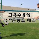 더찬스짐 이미지