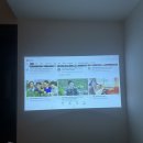 여우잠 | 경주 황리단길 감성숙소 스테이여우잠2 내돈내산 후기