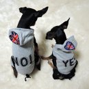 스타일 멍멍 이미지