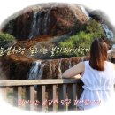 섬사랑모텔 이미지