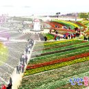 (주)유리섬 이미지