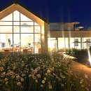 오늘여기 이미지