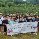 거창-주상-8 이미지