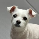 곱창이야기수송점 이미지