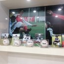 PEC스포츠아카데미 이미지