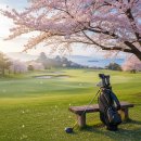 수림카서비스 | 마쓰야마 골프 여행 후기 및 추천 코스 완벽 정리