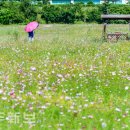 시민복지타운광장 이미지