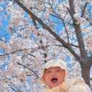 7개월 아기와 함께한 해운대 요트 체험│ 부산 요트이디엠 후기