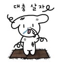 포항밤바다 이미지