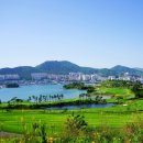 여수아일랜드 골프&리조트 골프장 이미지