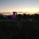 모바일 미디어아트 프로젝션 맵핑 교육 | 경주 산책로 첨성대 야경 야간 미디어아트