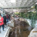 금강산도식후경 이미지