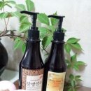 유 카워시 이미지