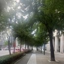 웰 휘트니스 | 언주역 헬스장 웰앤피트니스 1개월+PT 체험 후기
