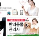 [단일과정] 사물인터넷지도사 이미지