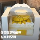 성수 케이크 맛집 네모네 망고 케이크 솔직 후기 예약