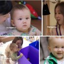 양지은농장 이미지