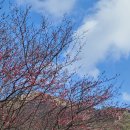 봄한약국 이미지