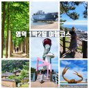 해맞이투어주