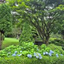 백화원리조트 이미지