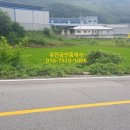 유월차선
