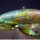 서울라이트