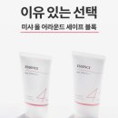스테디세이프