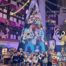 국가대표 태비태권도 이미지