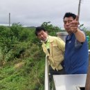 태풍반점 이미지