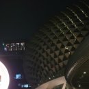 코틴하우스 이미지