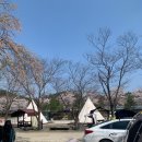 괴강관광농원캠핑장 이미지