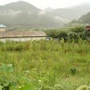 신흥마을회관 이미지