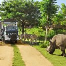 발리마린키즈 이미지