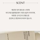 밀크PC | 바디로션추천 미다 라이스 밀크 고보습바디로션 사용 후기