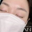 눈썹을디자인하다 이미지