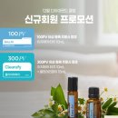 도테라더아로마하우스