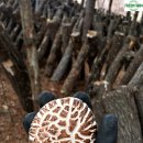 제명이 농장 이미지