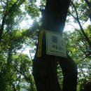 몽산142