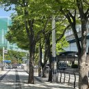 부산 수정산 등산후기 (동의대역-동의대-수정산꿈자람터-수정산정상-부산진역