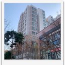 백현마을 휴먼시아8단지 | [동판교 아파트 소개] 판교대림이편한세상 백현마을8단지 실거주자가 선택하는 이유?