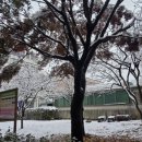 돈복순대국 | 영등포구청역 점심 맛집 구수하네 돈복순대국 내돈내산