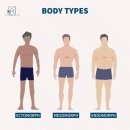 표준체형(standard body type) 이미지