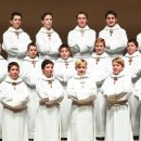 천상의 나무 이미지