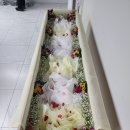 조은금강병원장례식장 이미지