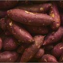 해남농장2 이미지