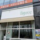 피그플러스 | 파주운정 두바이쫀득쿠키 맛집 피그트리 내돈내산 후기(웨이팅, 구매방법)