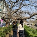 삼호동행정복지센터 화장실 이미지