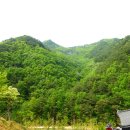 장육사 | 영덕 운서산- 장육사 답사후기 ( 한백산악회 )
