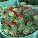 여난농장 이미지